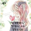 해피 Daum카페