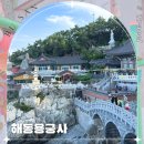 탑 웰빙하우스 | 부산 근처 가볼만한곳 기장 해동용궁사 사찰 마이네임 촬영지