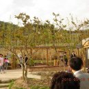 장보고횟집 이미지