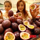 후르츠서울 이미지