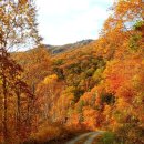 고운나라 이미지