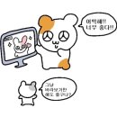 대보선식 이미지