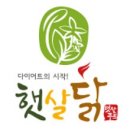햇살두부