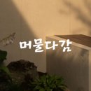 머물다감 이미지