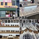 라운드투안경 울산매곡점 | 울산 안경점 으뜸플러스안경 울산매곡점 선글라스 구매 후기