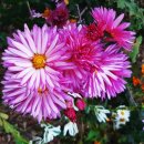 간촌공원 이미지