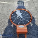 백석중학교 - 강서구 | 백석중학교