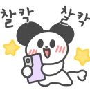 아기고래풀빌라B 네이버블로그
