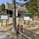 [강원도 평창여행-1] 가볼만한 곳 대관령 양떼목장 &amp; 오대산 월정사 코스