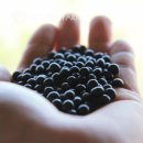 소만농장 | 2025년 국산 소만콩 1kg, 매일 먹기 좋은 검은콩