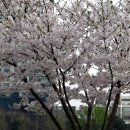 호수언저리 이미지