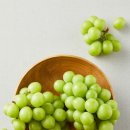 진흥초등학교 이미지