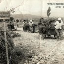 왕산5리 이미지