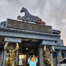 영희목장 이미지