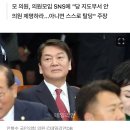 [단독] "안철수 제명하라"...'채상병 특검법' 찬성에 與 내부 '부글부글' 이미지