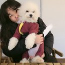 제천종합동물병원 이미지
