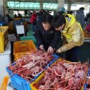 동해-단속-12 이미지