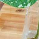별하우스 이미지