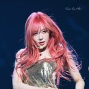 더지젤 이미지