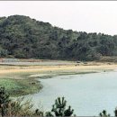 잔잔거제 이미지