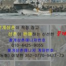 보보냉동 이미지