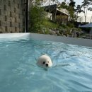 댕그라운드 이미지