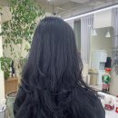 공드린헤어 이미지