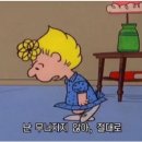 국가대표 SH 태권도장 이미지