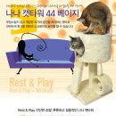 공주애견&BlackDog