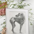 [4분기] 힐링꽃그림(보태니컬 수채화) | <김포성인취미미술> 한강신도시 장기동 운양동 구래동 마산동 성인취미그림반