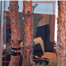 진시황과 ] 불로장생 feat. 김건희 퇴원 이미지