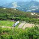 꿈벌사슴목장 이미지