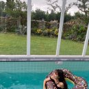 모들737하효 이미지