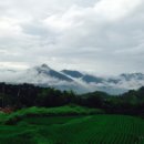 산수골황토방 이미지