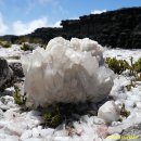 세뇨르킴 이미지