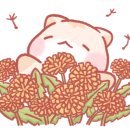 공립알록달록 이미지