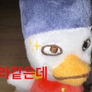 윙크 안산중앙점 이미지