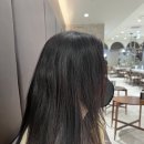도연헤어 네이버블로그