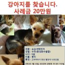수컷 이미지