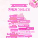 해바라기사진관 - 평택시 세교로 47 | 해바라기사진관