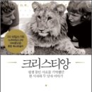 에이스존 이미지