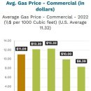 사진과 동영상을 활용한 SNS(블로그, 인스타그램) 이미지