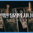 판교세탁 이미지