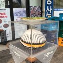 엄지네 | 부천 중동 맛집 강릉엄지네꼬막집 후기 꼬막비빔밥·오징어순대 솔직 리뷰