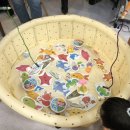 최상희피아노스튜디오학원 이미지