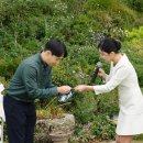 야외정원 스케치 | 돌잔치는 핑계고 파티｜셀프 야외 돌잔치 준비 영종도 아이린의 정원