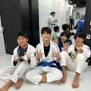 칼슨그레이시 코리아 이미지