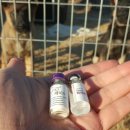 신광동물병원 이미지