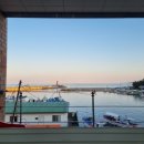 까사콩새 이미지