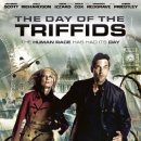 오브더데이(of the day) 이미지